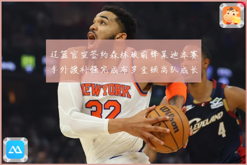 辽篮官宣签约森林狼前锋莱迪本赛季外援补强完成布罗金顿离队成长观察：最新赛事动态与深度分析